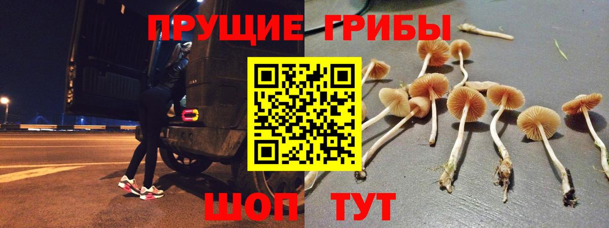 Галлюциногенные грибы мицелий Туймазы