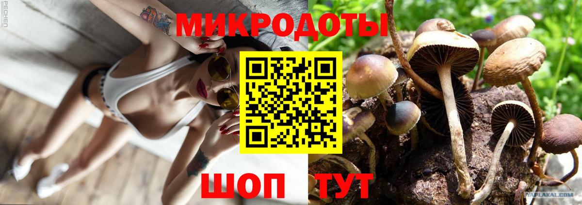 Галлюциногенные грибы мицелий  Галлюциногенные грибы Psilocybe  Туймазы  Вход с VPN 