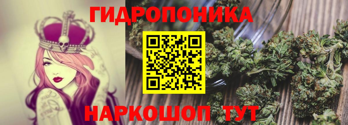 Марихуана Bruce Banner Туймазы